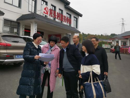 丰新妹到大祥区板桥乡开展民主监督活动
